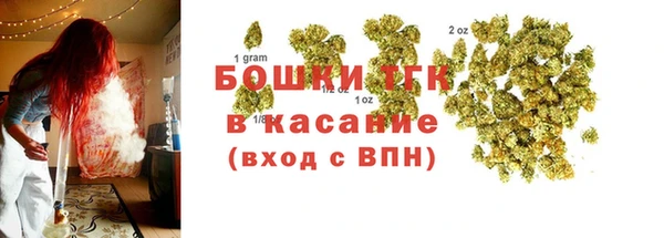 дурь Заводоуковск