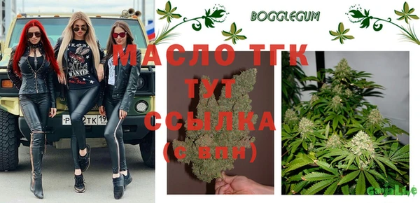 дурь Заводоуковск